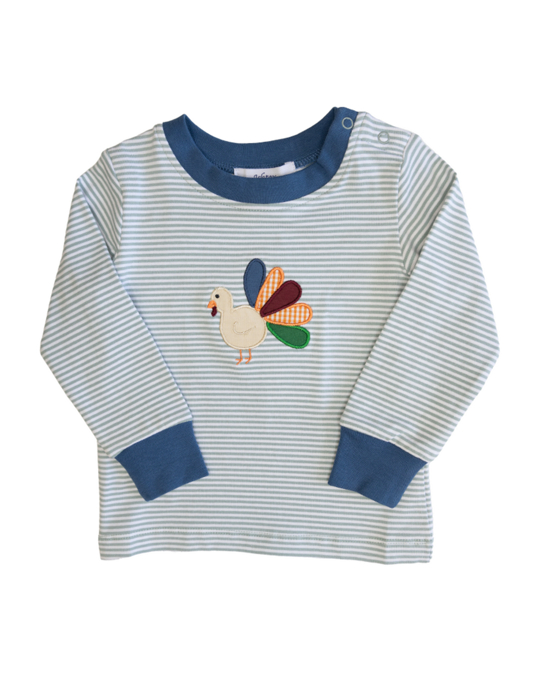 Ishtex - Sage Stripe Turkey Applique Boy's T-Shirt